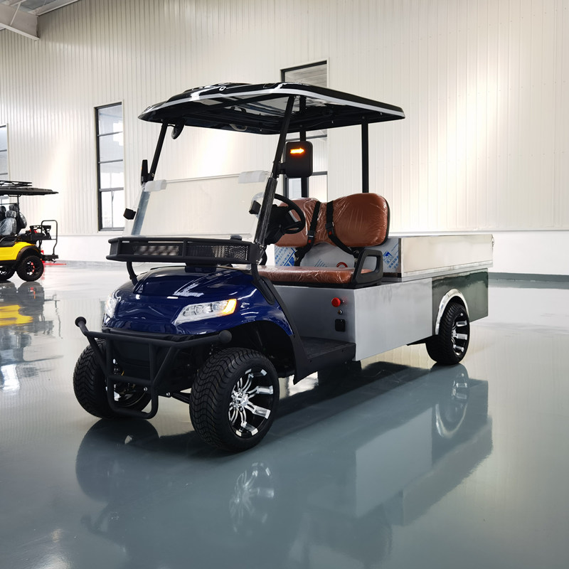 Golf cart with cargo bed4.jpg